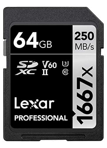Lexar Professional 1667x SD Karte 64GB, Speicherkarte SDXC UHS-II, Bis zu 250 MB/s Lesen, Class 10, U3, V60, SD für professionelle Fotografen, Videofilmer, Enthusiasten (LSD64GCB1667)