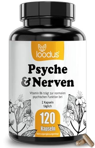 Johanniskraut Kapseln - 10000mg Johanniskraut hochdosiert aus 10:1 Extrakt (2 Kapseln) + GABA + L-Tryptophan - 2 Monatsvorrat - pflanzlicher Stimmungsaufheller hochdosiert von loodus®