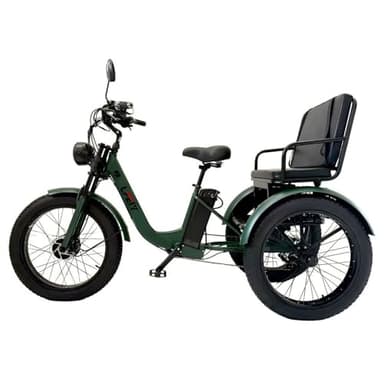 Elektro Dreirad Fahrrad Erwachsene 750W 48V 18Ah, 3 Räder Kippsicher Design, Rutschfeste Reifen 24 20 Zoll, Großer Transportkorb, für Einkäufe, Arbeit, Freizeit und tägliche Mobilität Green