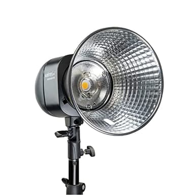 Walimex pro Newcomer 300 II Studioblitz, LED Studiolicht mit Funk, Studiolampe 300 W mit hoher Lichtleistung, Studio Blitz mit Überhitzungsschutz ideal für Fotostudio
