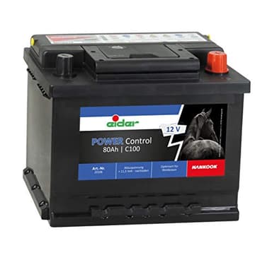 12 Volt Akku Power Control 80 Ah - Spezial Weidezaun Akku - kaum Selbstentladung - trocken vorgeladen - mit Tragegriff - Wird mit Säure gefüllt geliefert