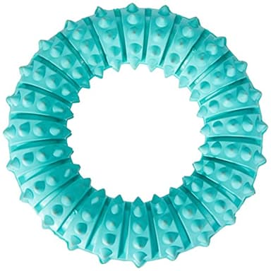 TRIXIE Denta Fun Ring Mintfresh Naturgummi ø 12 cm
