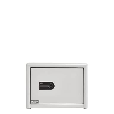 Burg Wächter Möbeltresor, Feuerschutztresor mit Schlüssel, Dual Safe, Sicherheitsstufe S2, Feuergeschützt, Widerstandsgrad LFS 30, 55,0 kg, DS 425 K, grau Grey 27 Liter