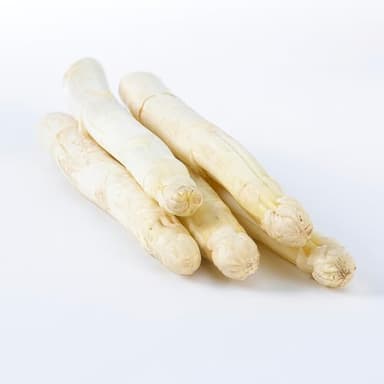 Weiß Spargel Pflanzen - 5 frigo A+ Echte Pflanzen aus Holland - Winterhart und Mehrjährig Gemüse - für Garten und Hochbeet (keine Samen, keine Zwiebeln und nicht künstlich)