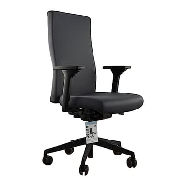 TREND OFFICE Trendoffice to-Strike Comfort pro sk 9248, Testsieger Stiftung Warentest, ergonomischer Bürostuhl mit 4D-Armlehnen, höhenverstellbare Rückenlehne, by Dauphin (grau)
