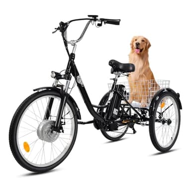 250W Elektro Dreirad für Erwachsene & Senioren, 36V 15Ah Akku E-Bike mit 50km Reichweite, Shimano 7-Gang, 24 Zoll Reifen, 3 Rad Fahrrad mit Korb, bis 180kg Belastbarkeit